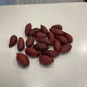 Bowl/vase filler set of 20 pods